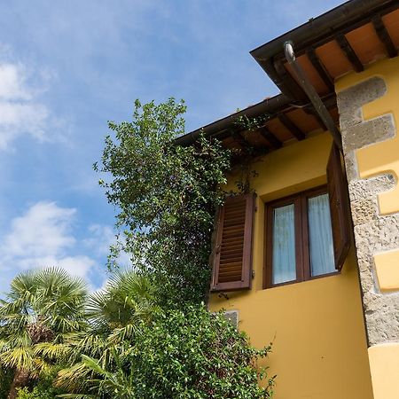 Agriturismo Le Fontanacce 페시아 외부 사진
