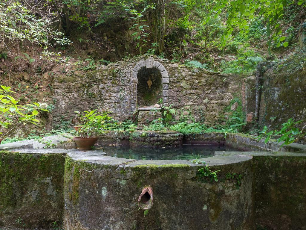 Agriturismo Le Fontanacce 페시아 외부 사진